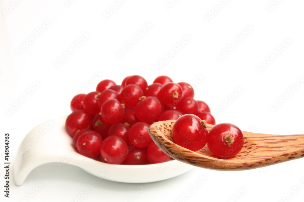 Redcurrant Redcurrant