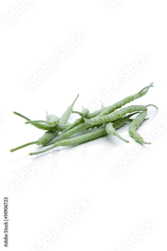 Rapsoel