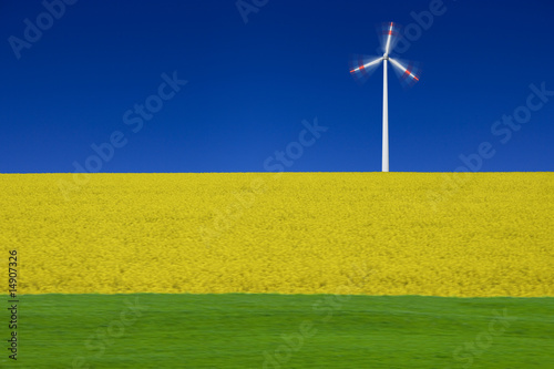 Rapsfeld