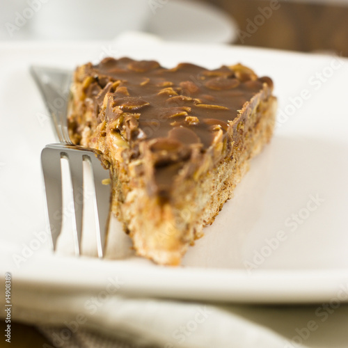 Chocolate cake with nuts photo