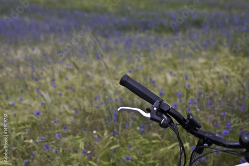 Fahrrad photo