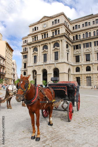 horse and carriage on plaza in havana cuba