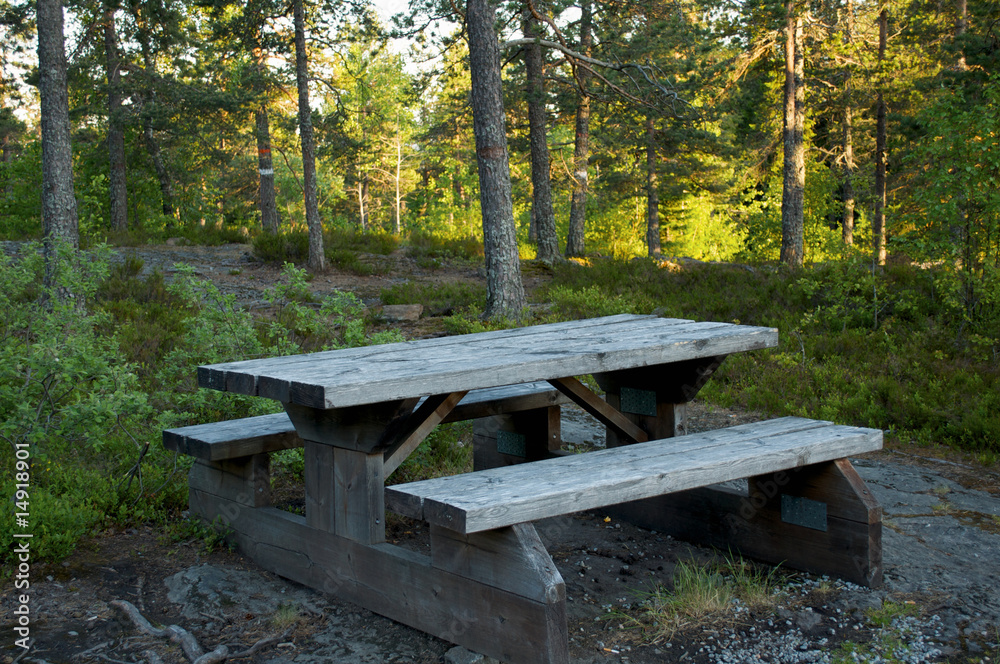 Bench in forest Bench in forest