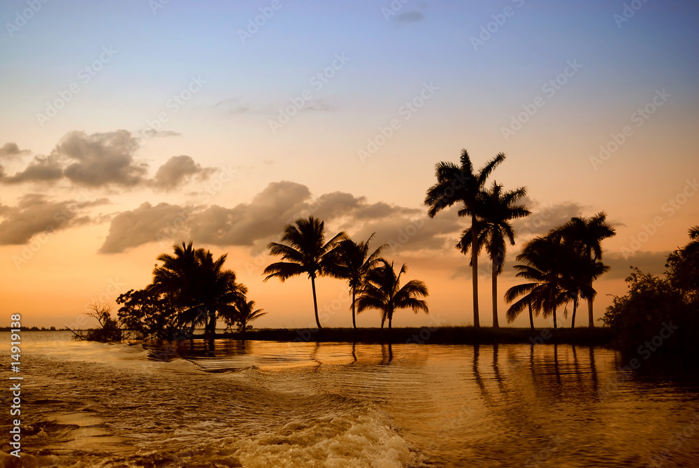 sunset palm in cuba