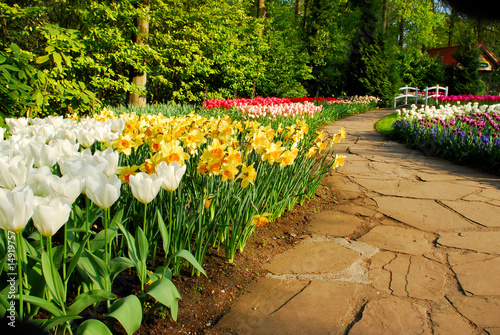 springgarden keukenhof holland photo