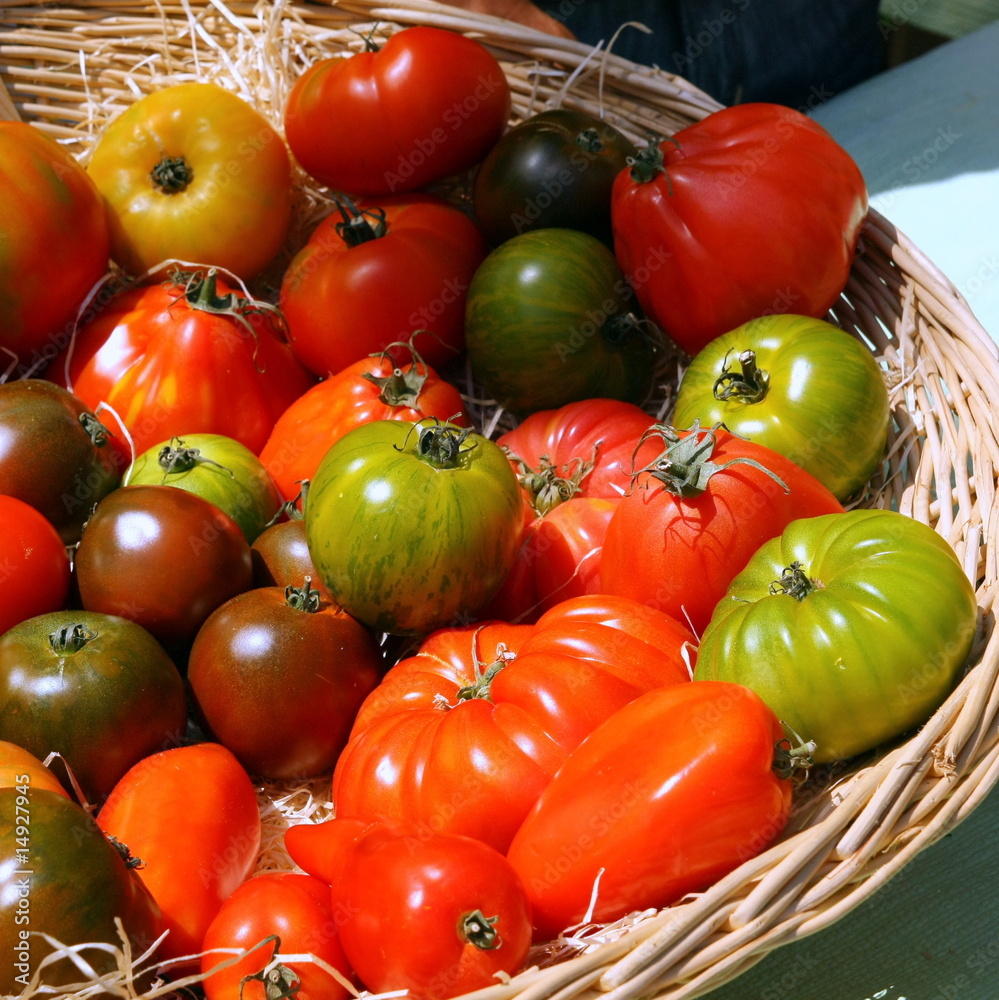 Panier de Tomates Photos | Adobe Stock