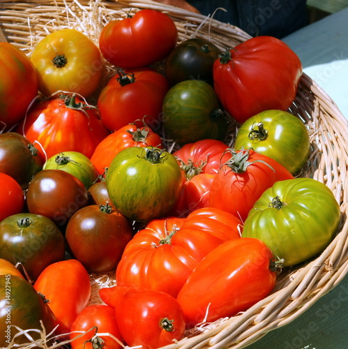 Panier de Tomates #14927945