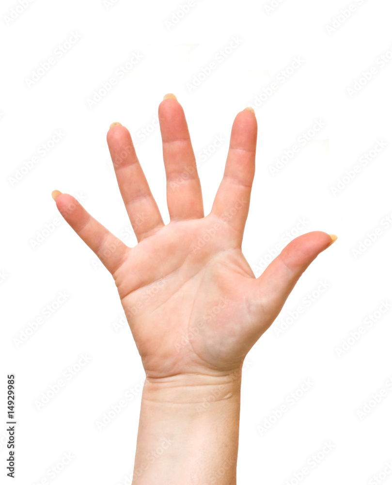 High five isolated on white background High five isolated on white background
