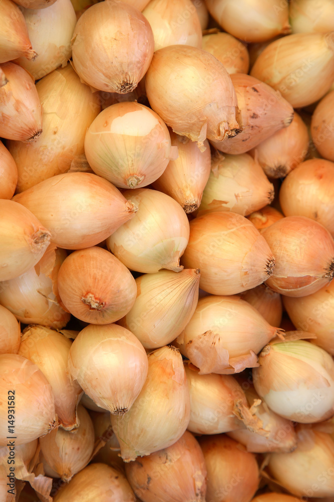Background from golden heads of onions. Background from golden heads of onions.