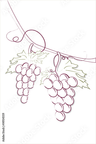 Grappoli d'uva appesa