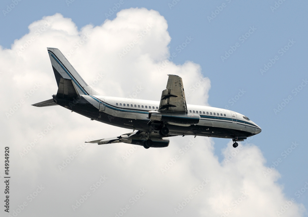 Obraz premium Passenger jet airplane