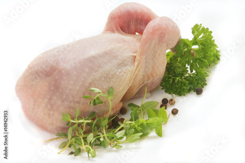 Whole Raw Quail photo