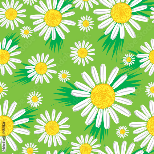 Seamless cute floral pattern with bright chamomiles