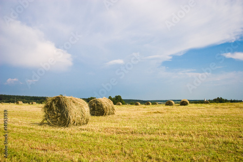 Hay stacks on the field | Summer rural landscape © PASTA DESIGN