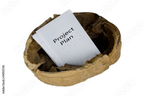 in a nutshell - project plan