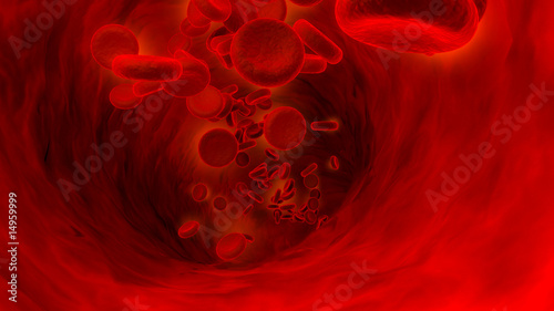 red blood cell