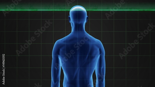 medical scanner with a male figure and visible skeleton.