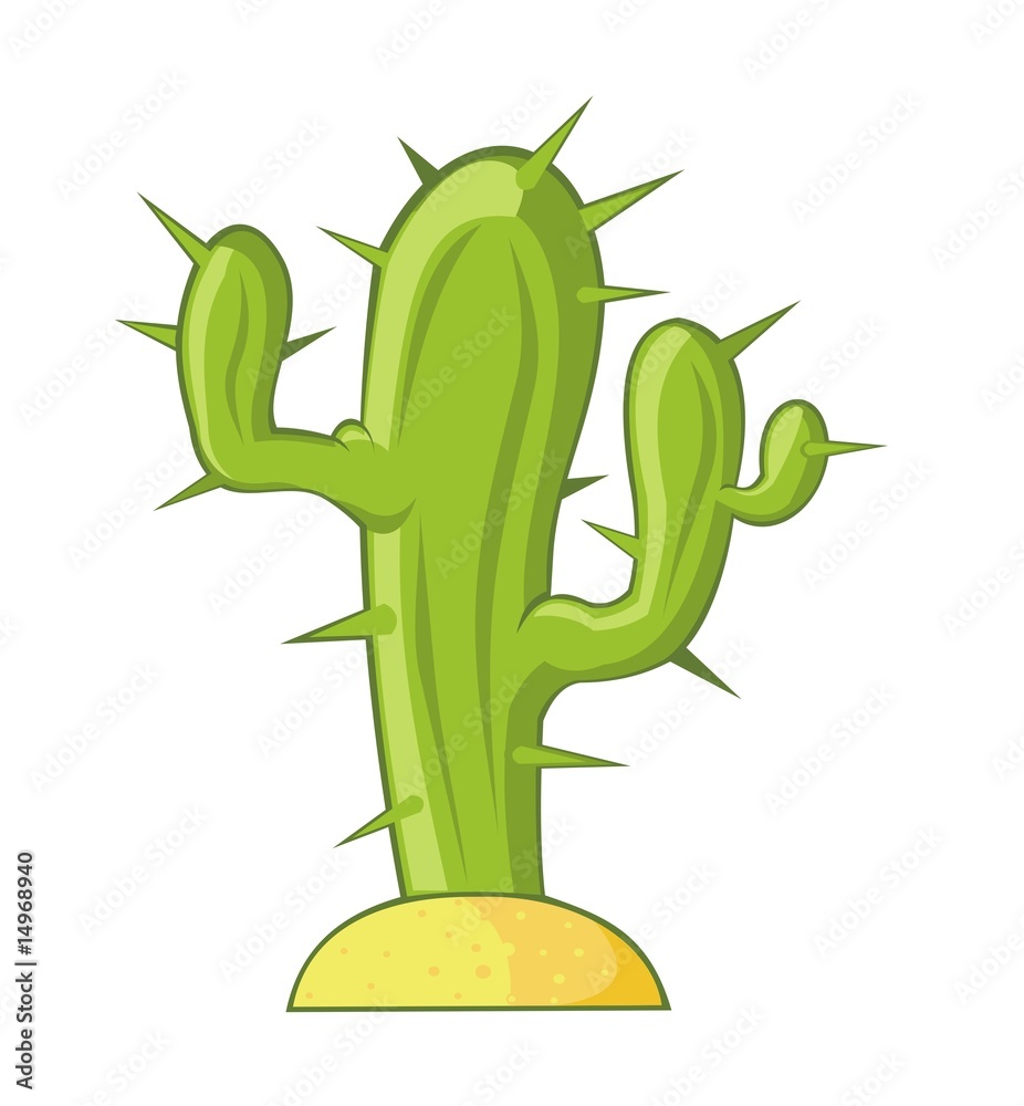 Fototapeta premium cactus