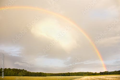 Regenbogen