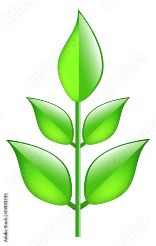 Glossy Aqua Green Plant   Vector 