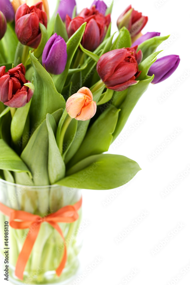 Obraz premium fresh tulips