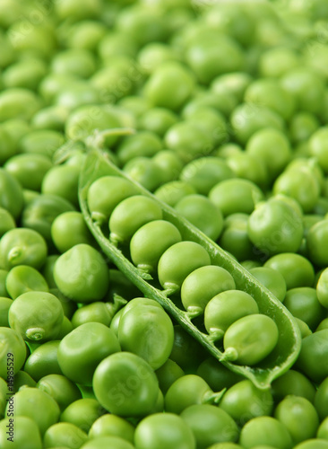 Green pea background