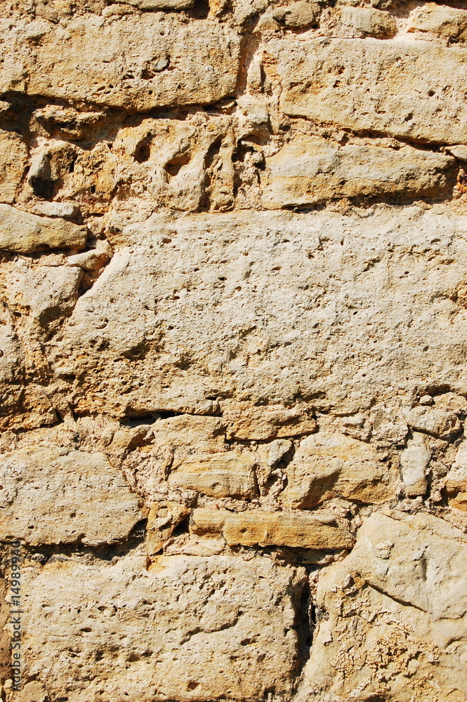 Fototapeta premium grunge brick wall background