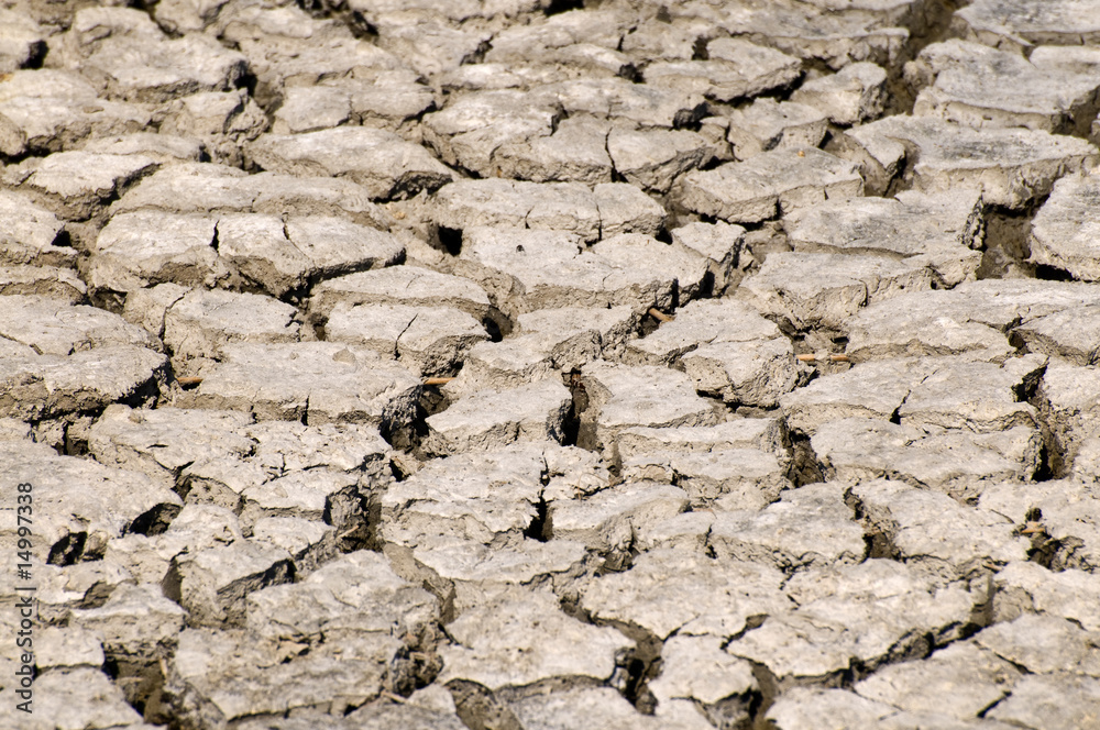 Fototapeta premium terra arida