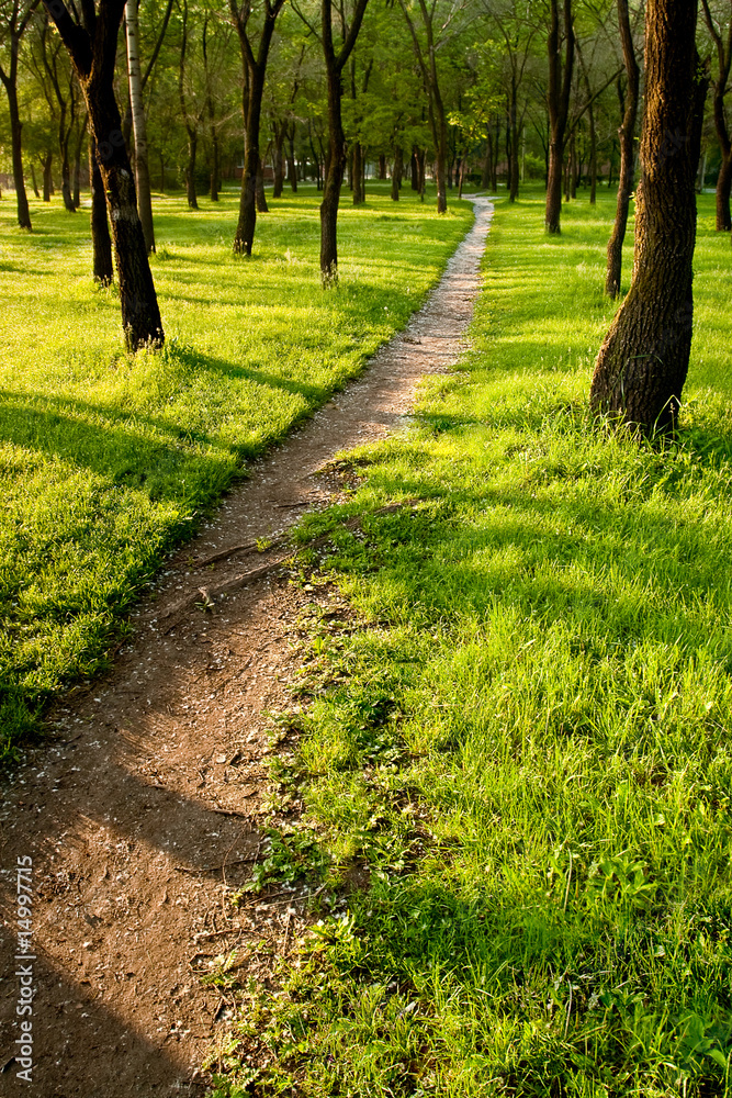 path in the morning park path in the morning park