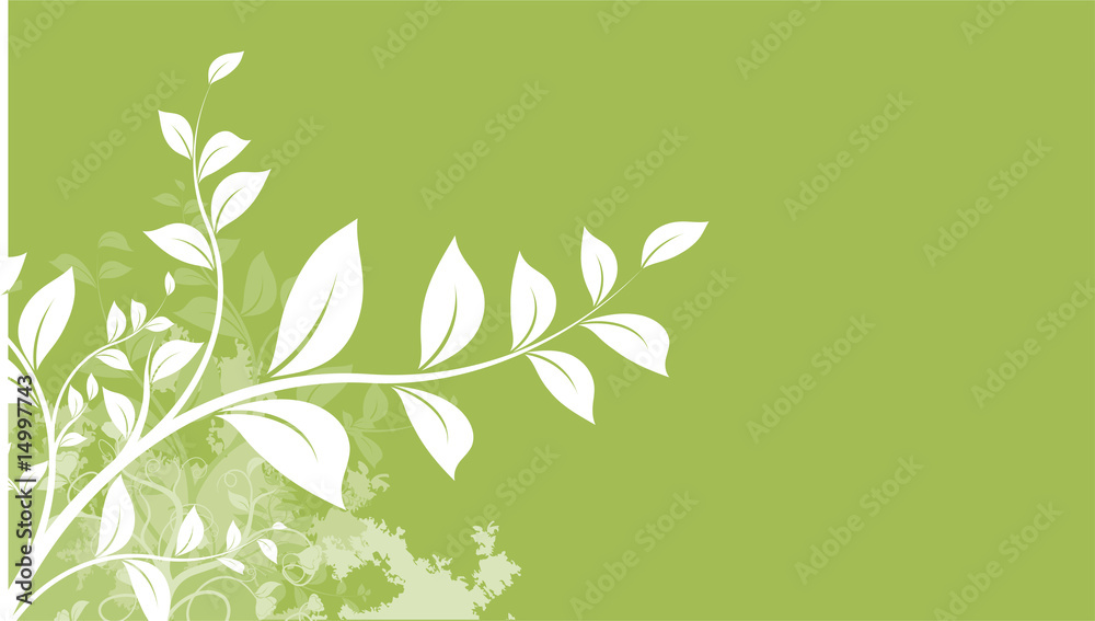 Fototapeta premium feuillage nature branche arbre en forêt, illustration vectoriel