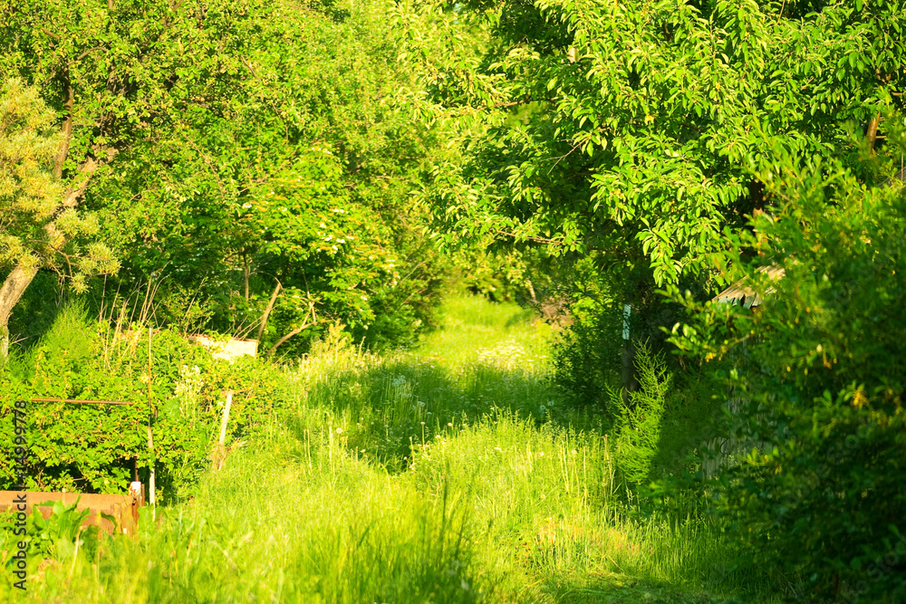 Obraz premium Gardening