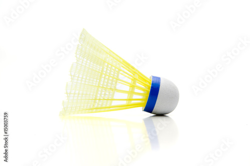 Federball photo