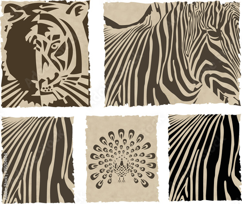 the vector animal and skin set