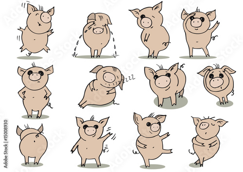 schweinchen sammlung