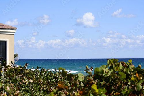 tropical paradise