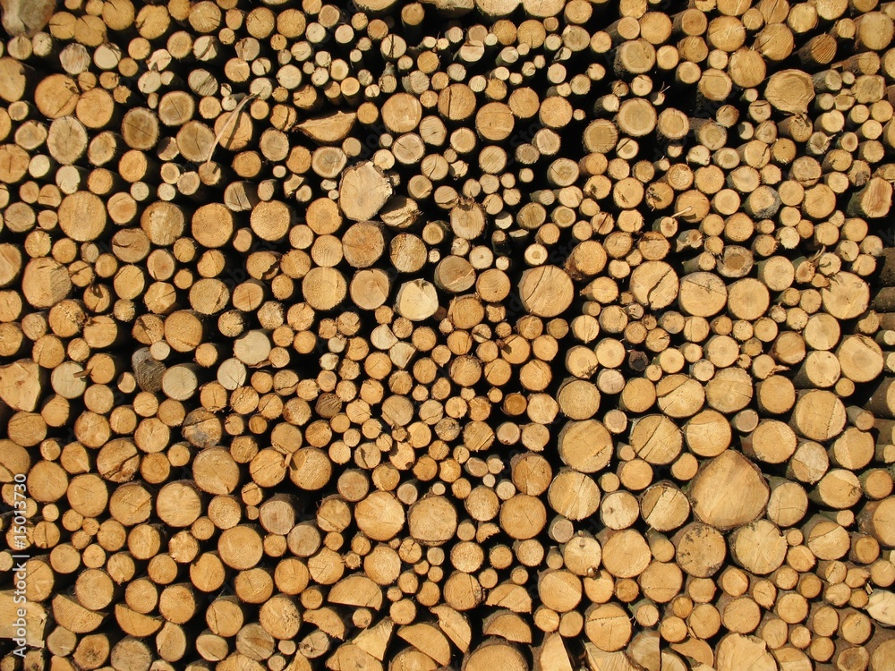 wood1