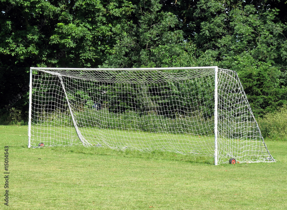 Fototapeta premium Goalpost
