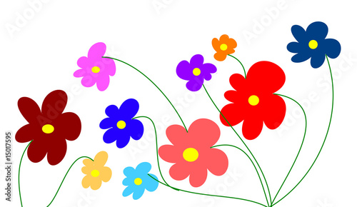 blumen auf weißem hintergrund