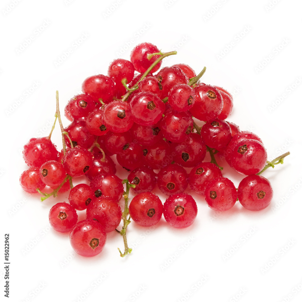 red currant