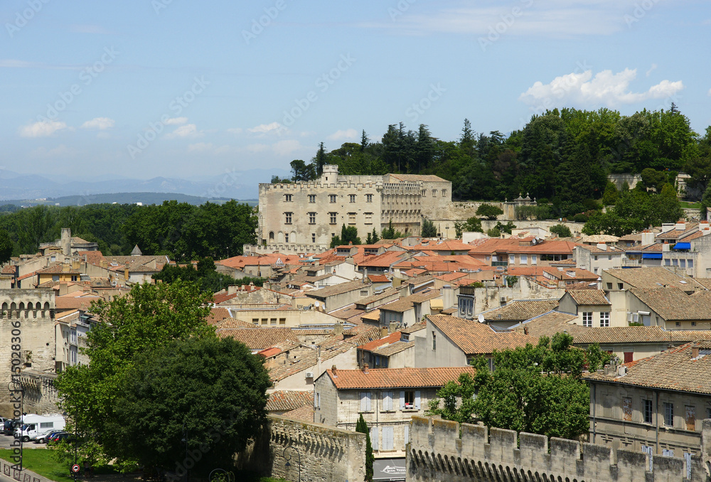 petit palais Avignon