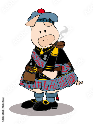 Scot pig