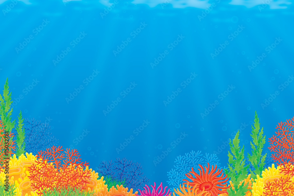 Naklejka premium Coral reef