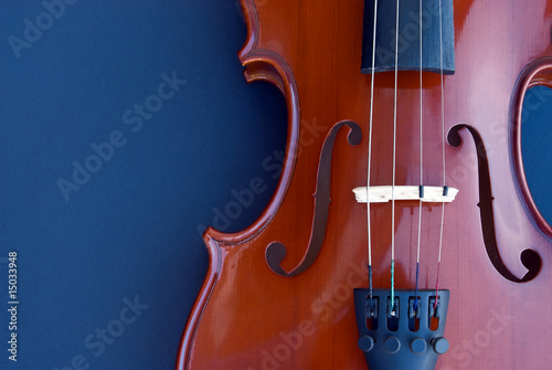 violin