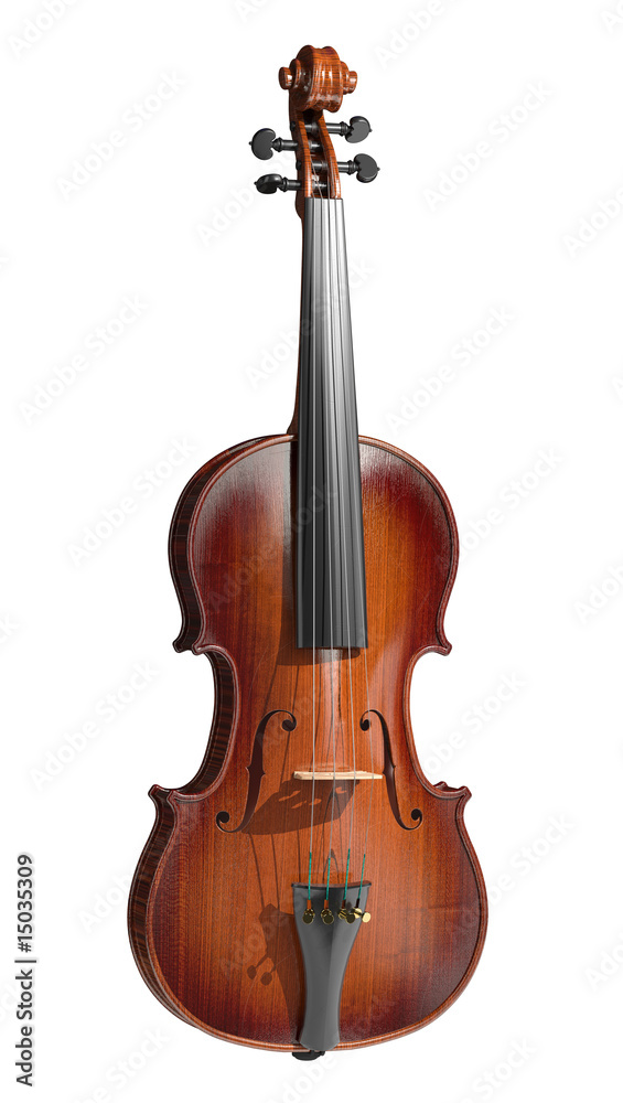 Fototapeta premium Violin