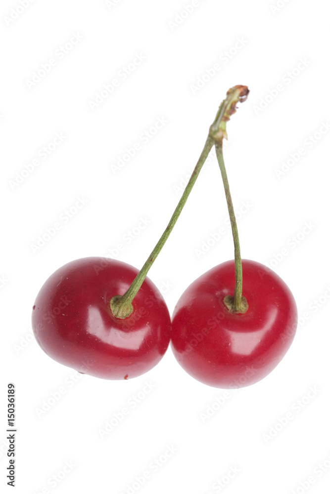 cherries on white background cherries on white background