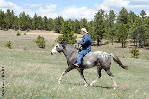 wild breed in natural training