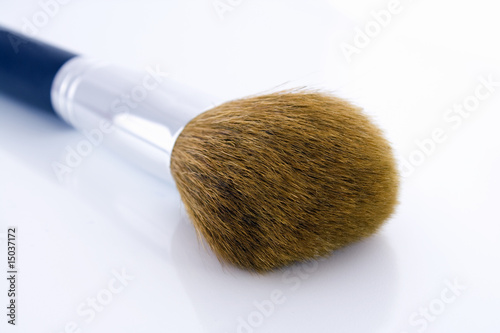 Big make-up brush