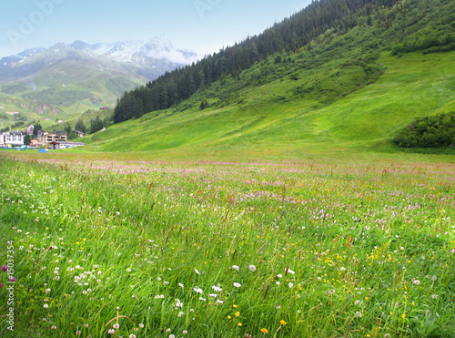 Swiss spring