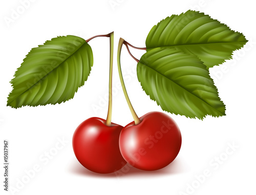 Red sweet cherry with leaves