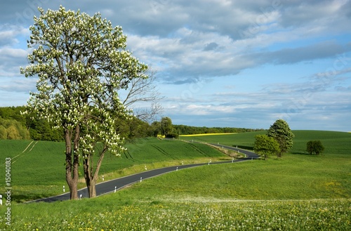 Feldberger Seenlandschaft photo